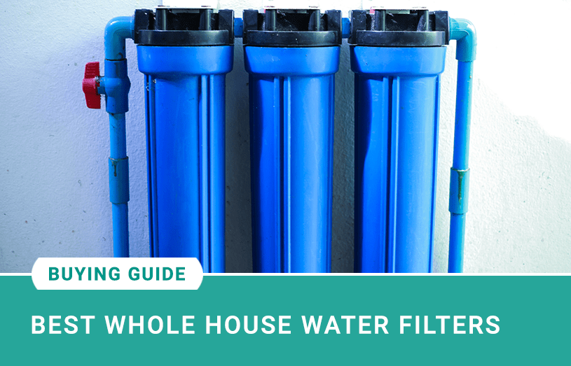 Best Whole House Water Filters